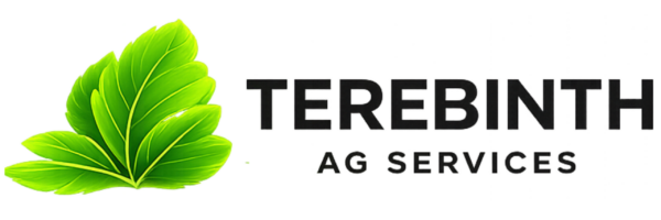 untitled (500 x 3000 px) (3000 x 500 px) (3000 x 1000 px)