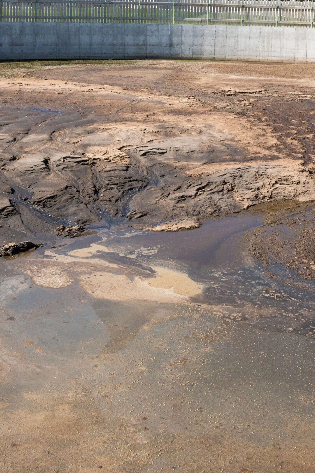 waste lagoon on a diary farm